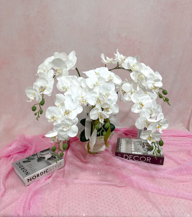 Clamine - Orchid Vase flower